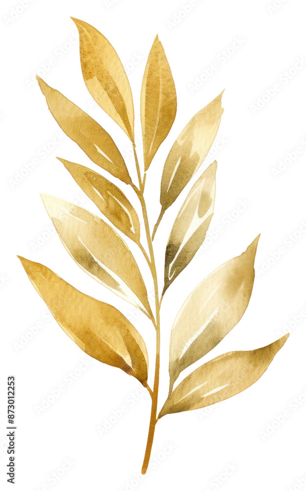 PNG Plant leaf growth yellow. PNG Plant leaf growth yellow.