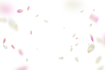 Tulip overlay
