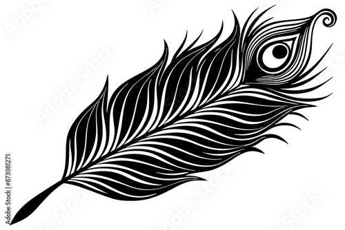 peacock feather black silhouette vector white background