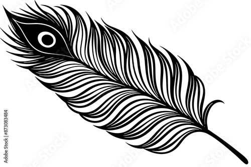 minimalistic black and white peacock feather