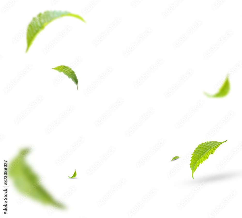 Φωτογραφία Green Floating Leaves Flying Leaves Green Leaf Dancing, Air Purifier Atmosphere Simple Main Picture