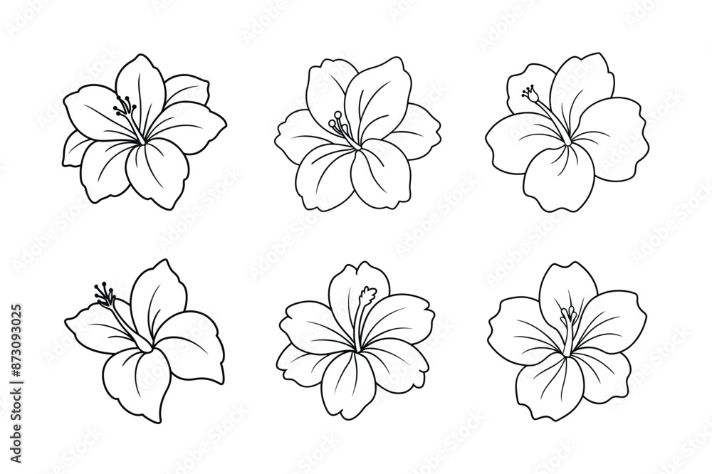 Obraz premium Flower eps bundle