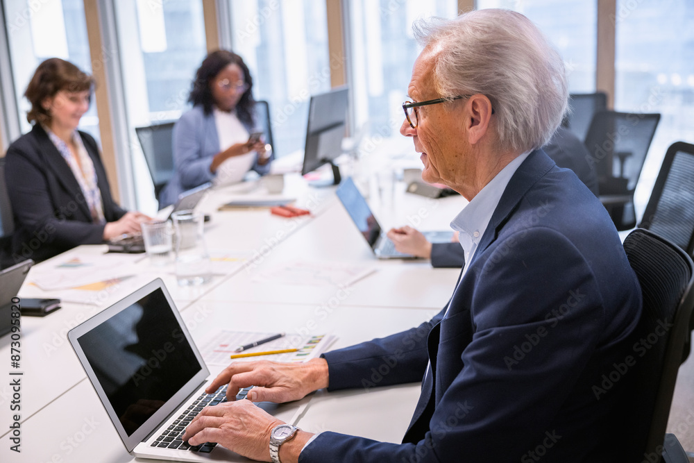 Senior businessman using laptop while working in office Senior businessman using laptop while working in office