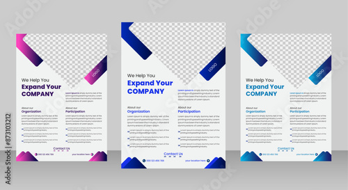 Professional Business Flyer design 