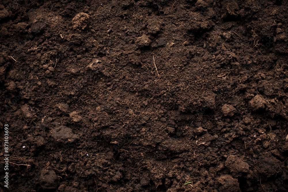 Close-up of rich, dark soil texture, ideal for gardening, landscaping, and agricultural projects. Shows detailed texture of fertile soil. Close-up of rich, dark soil texture, ideal for gardening, landscaping, and agricultural projects. Shows detailed texture of fertile soil.
