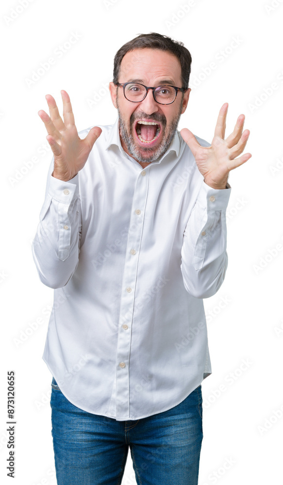 Handsome middle age elegant senior business man wearing glasses over isolated background celebrating crazy and amazed for success with arms raised and open eyes screaming excited. Winner concept Handsome middle age elegant senior business man wearing glasses over isolated background celebrating crazy and amazed for success with arms raised and open eyes screaming excited. Winner concept