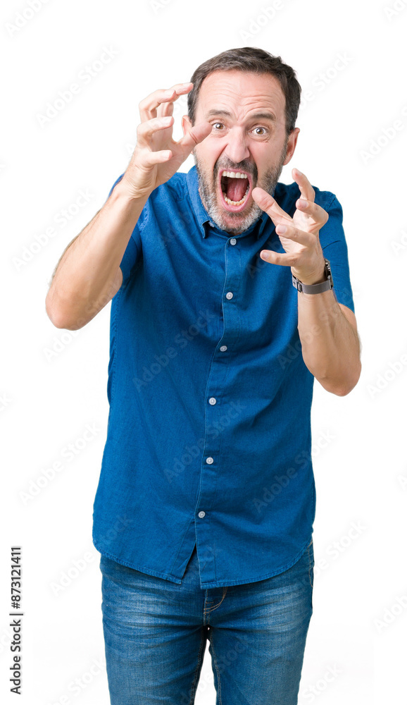 Handsome middle age elegant senior man over isolated background Shouting frustrated with rage, hands trying to strangle, yelling mad Handsome middle age elegant senior man over isolated background Shouting frustrated with rage, hands trying to strangle, yelling mad