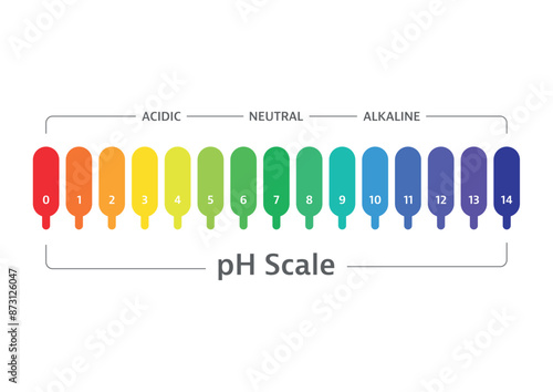 vector pH scale. ph chart, acidic and alkaline scale on white background