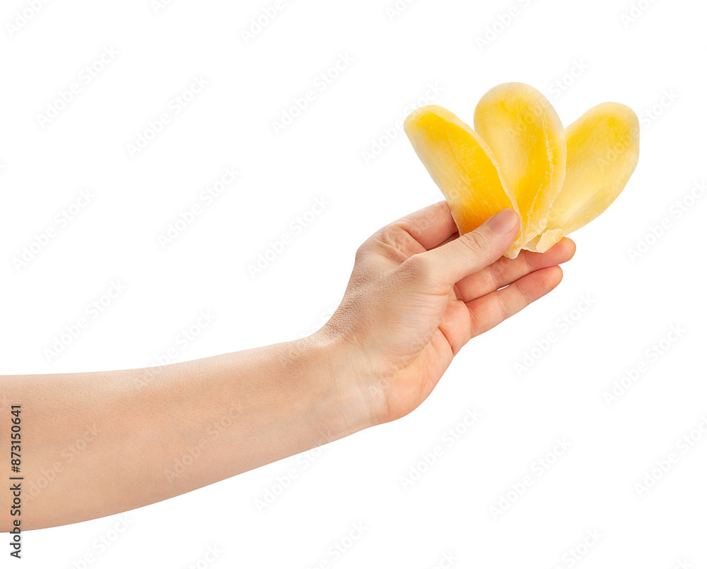 dried mango in hand path isolated on white dried mango in hand path isolated on white