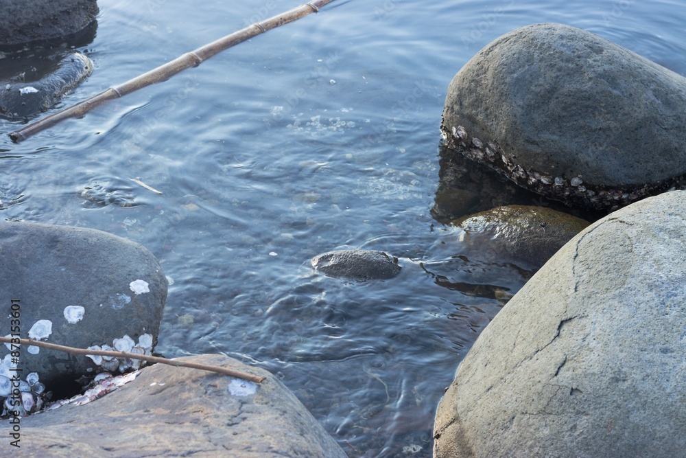 Fototapeta premium rocks in the water