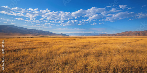 A vast expanse of grassland under the blue sky, with distant mountains in the background, is bathed in sunlight, creating a peaceful and serene scene. © Duka Mer