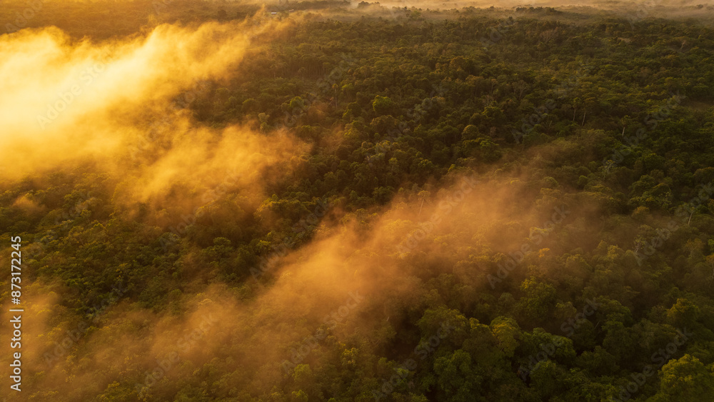 Fototapeta premium Evapotranspiration of the forests surrounded by the Nanay River, landscapes of the Nanay River, provide fresh water and biodiversity in its surroundings, it is a river within the Amazon rainforests