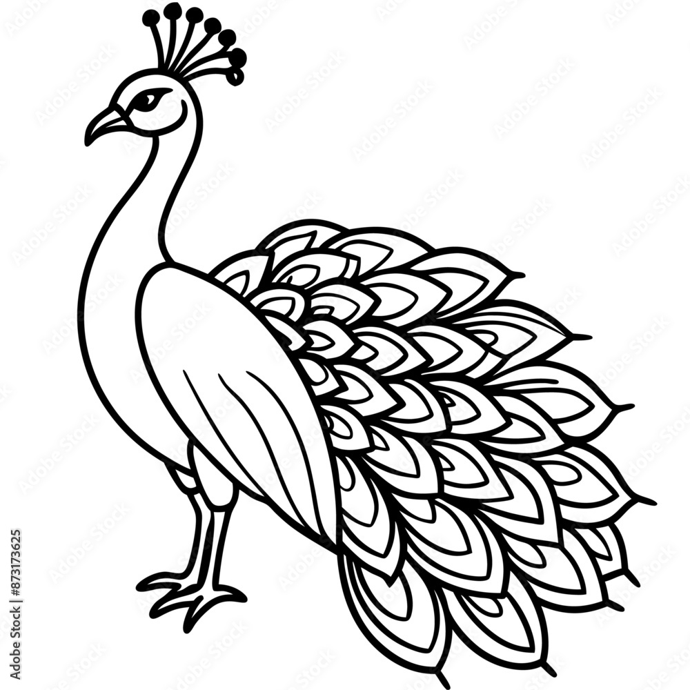 Naklejka premium Beautiful Hand drawn Peacock bird, Stock Illustratio
