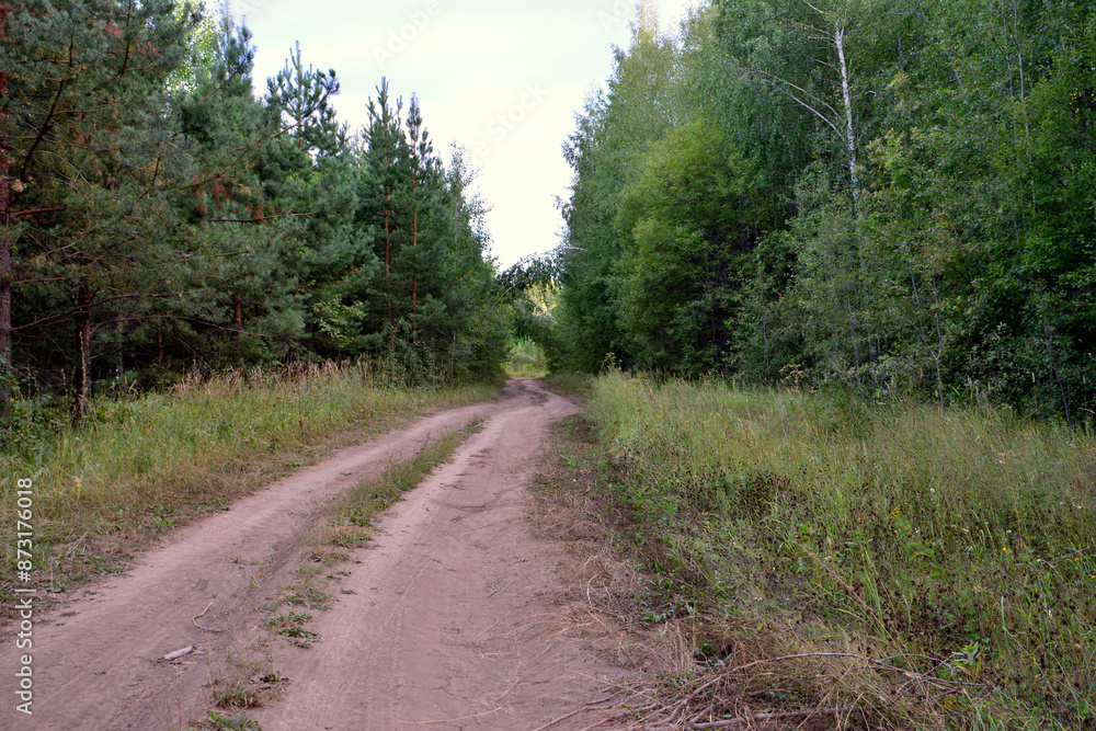 Fototapeta premium a dirt road is surrounded by trees and grass