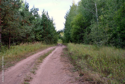 a dirt road is surrounded by trees and grass