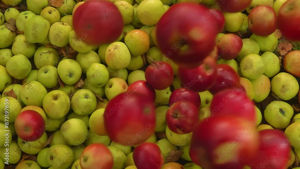 Top view of the ripe delicious red apples falling on the green apples in slow motion. High quality 4k footage Top view of the ripe delicious red apples falling on the green apples in slow motion. High quality 4k footage