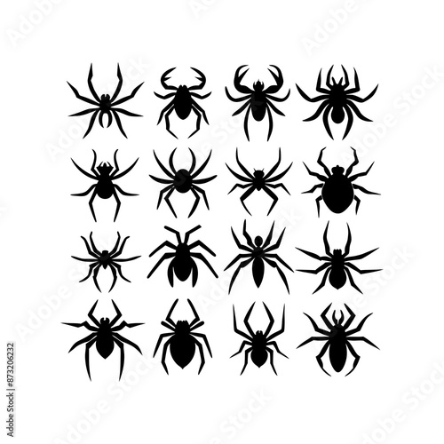 a black and white image of spiders and spiders.