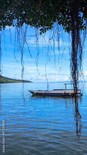 Beautiful morning boat and mangrove forest roots with blue clouds background from sunset beach, Karimun Jawa, Central Java. photo