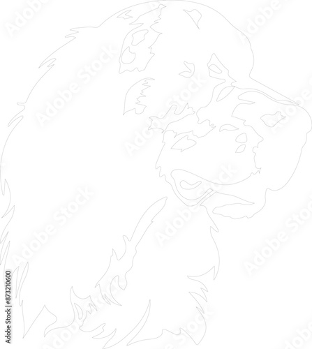 English Setter outline
