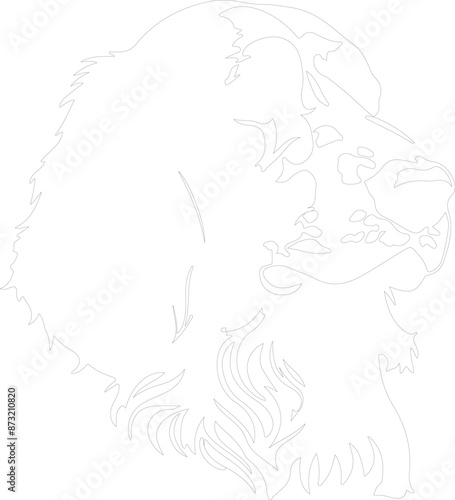 English Setter outline