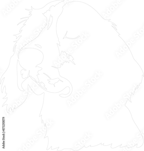 English Setter outline