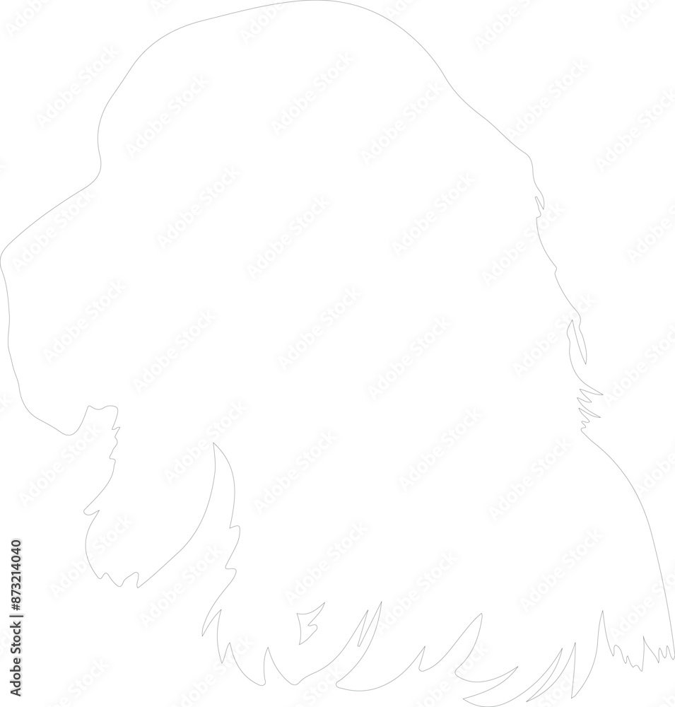 Obraz premium Field Spaniel outline