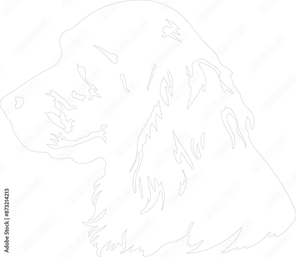 Field Spaniel outline Field Spaniel outline
