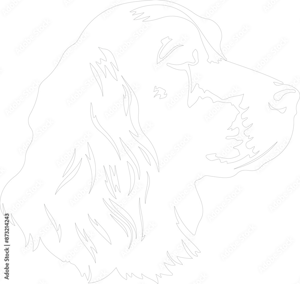 Field Spaniel outline Field Spaniel outline