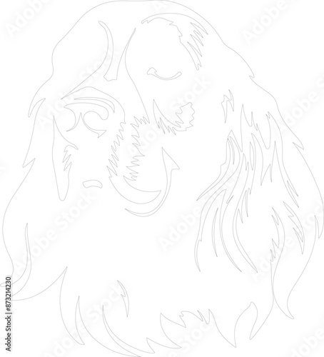 Field Spaniel outline