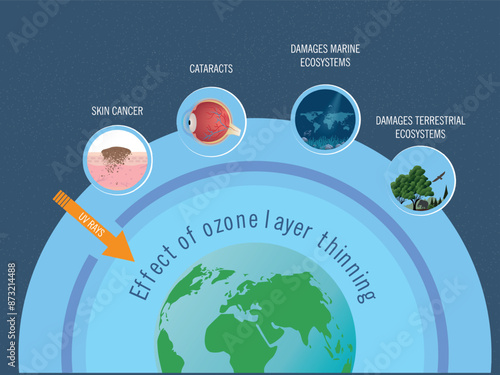 The effects of ozone layer thinning on the earth. The ozone layer is a protective layer in the earth's atmosphere that shields us from harmful ultraviolet rays