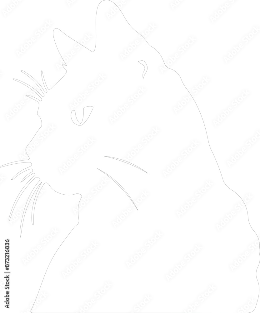 German Rex Cat outline German Rex Cat outline