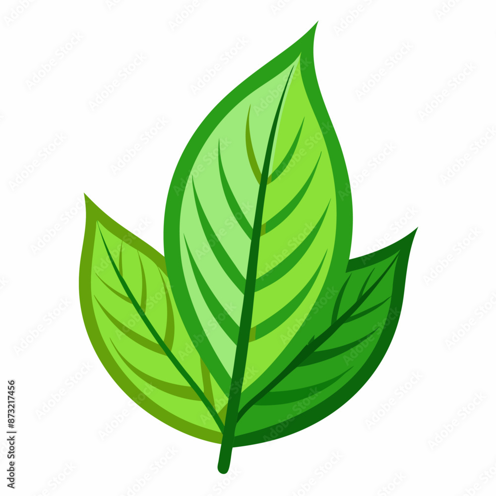 leaf clipart cartoon Illustration drawing leaf clipart cartoon Illustration drawing