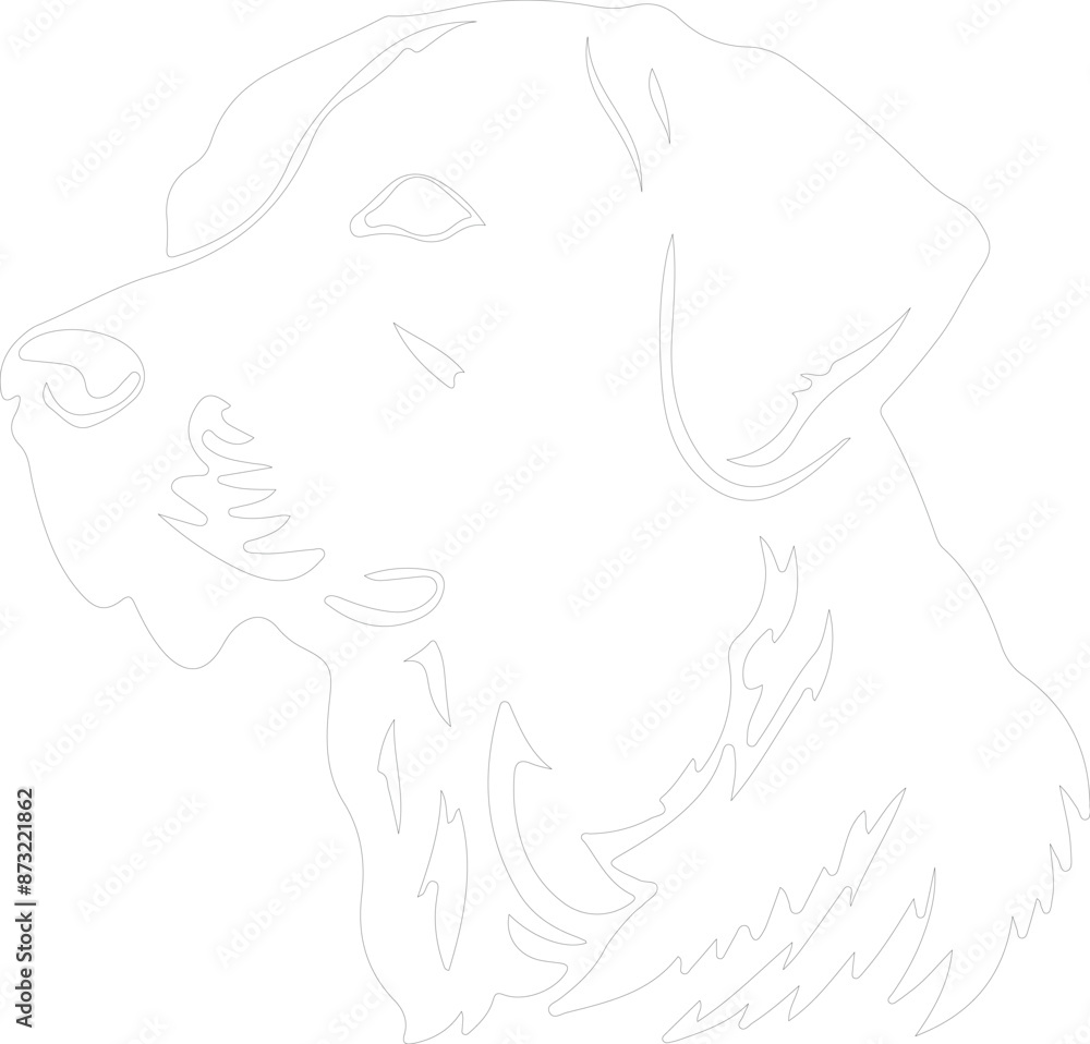 Chesapeake Bay Retriever outline Chesapeake Bay Retriever outline