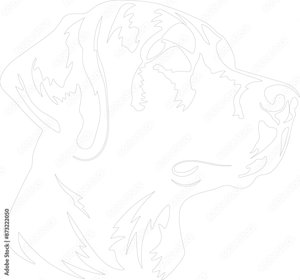 Chesapeake Bay Retriever outline Chesapeake Bay Retriever outline