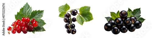 Red and black currants on a transparent background, representing fruits and seeds, perfect for dishes or snacking