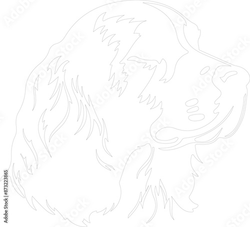 Clumber Spaniel outline