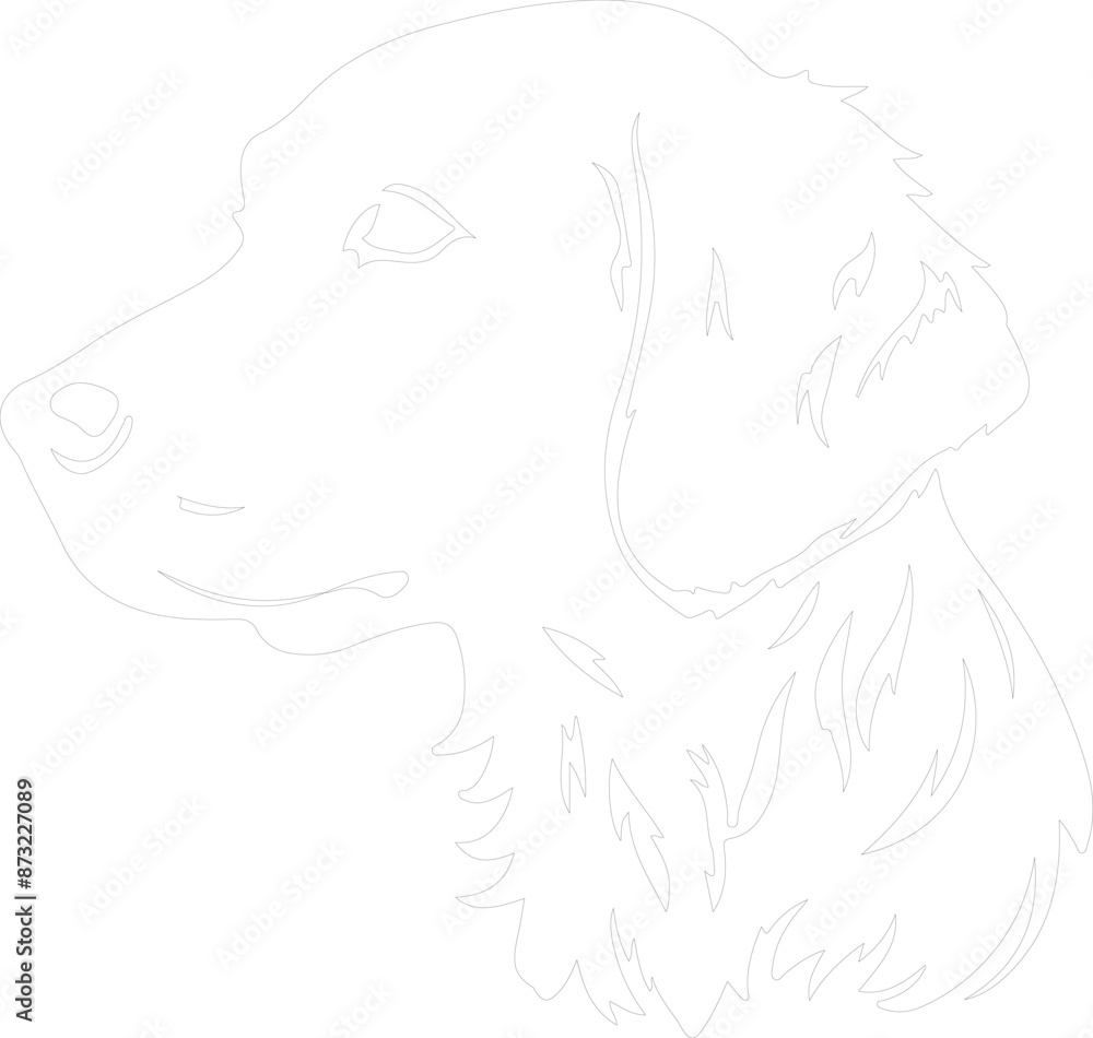 Curly-Coated Retriever outline Curly-Coated Retriever outline