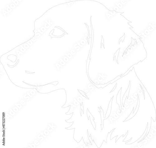 Curly-Coated Retriever outline