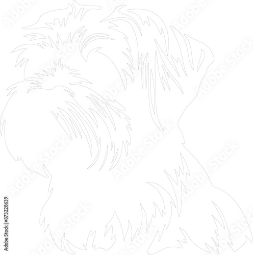 Dandie Dinmont Terrier outline photo