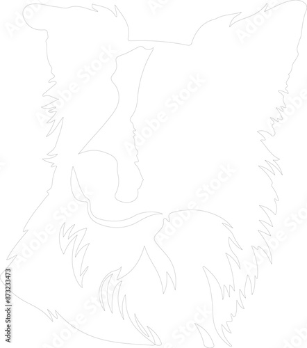 Border Collie outline