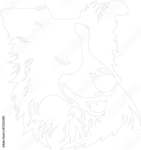 Border Collie outline