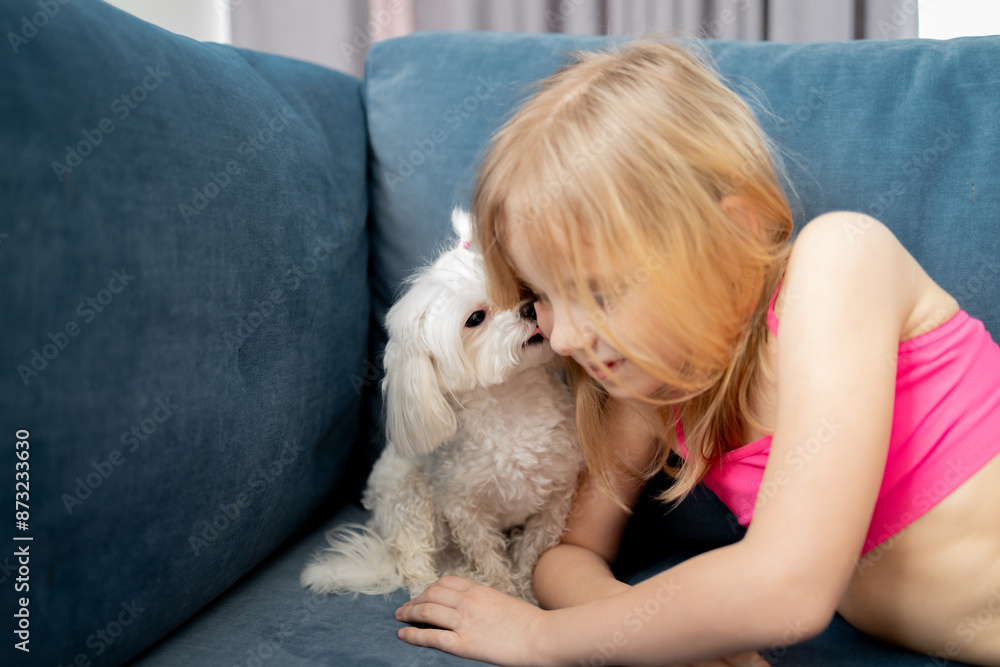 Little blond girl in pink top affectionately embracing Maltese dog sitting on blue sofa. Moment of connection between child and her small white fluffy pet, friendship between human and animal Little blond girl in pink top affectionately embracing Maltese dog sitting on blue sofa. Moment of connection between child and her small white fluffy pet, friendship between human and animal