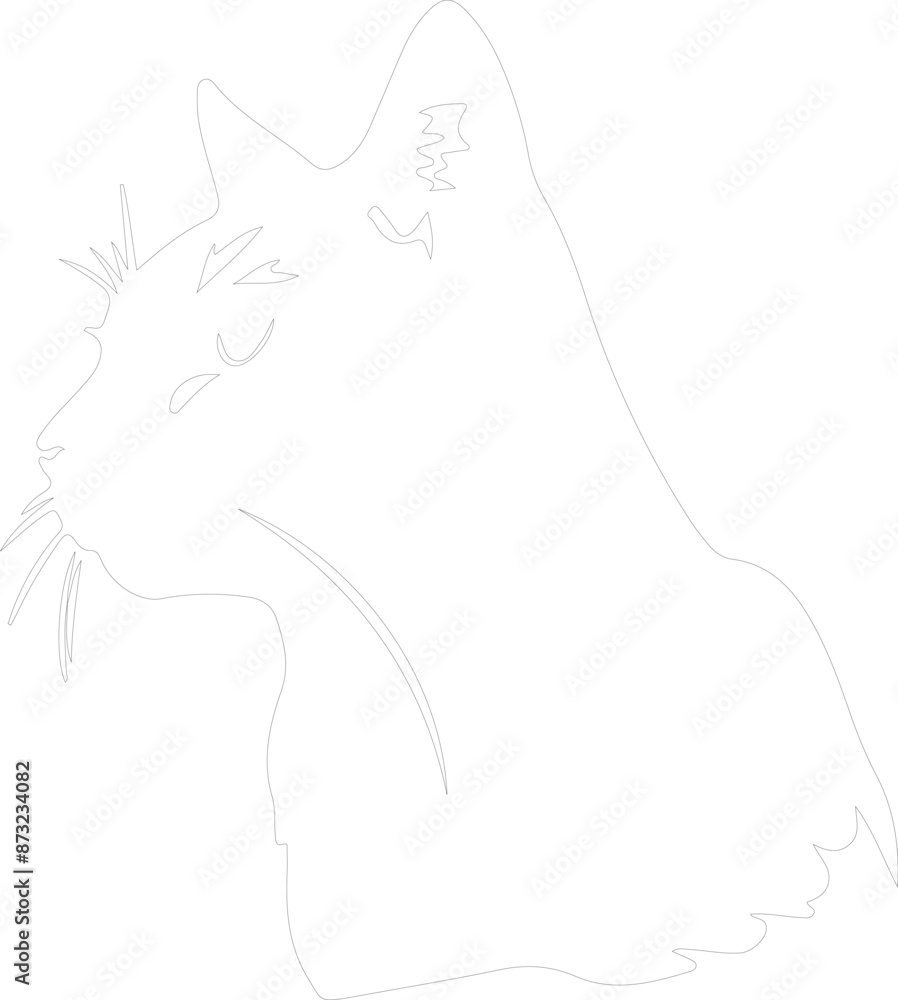 Borneo Bay Cat outline Borneo Bay Cat outline