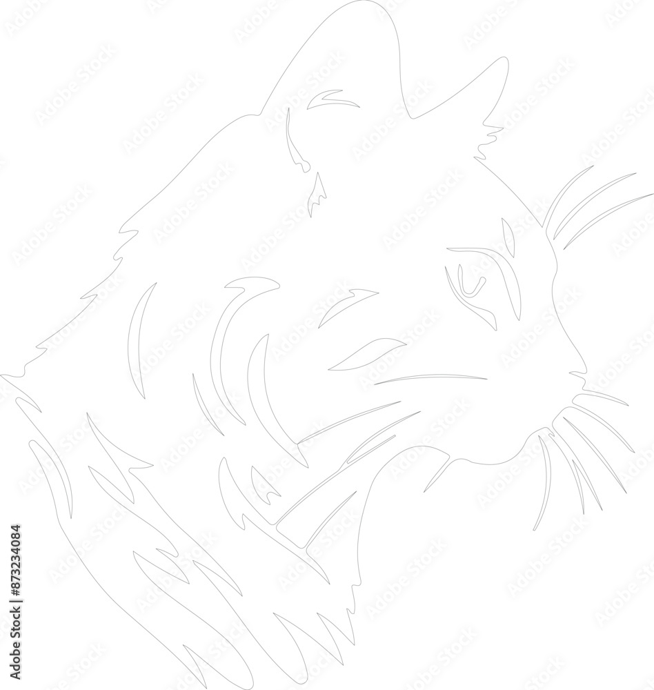 Borneo Bay Cat outline Borneo Bay Cat outline