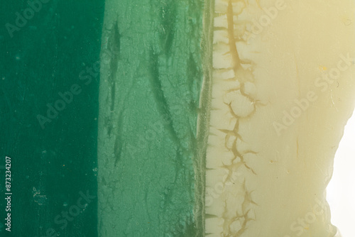 Close-up of Green and White...