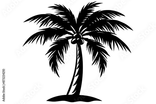 palm tree silhouette vector illustration