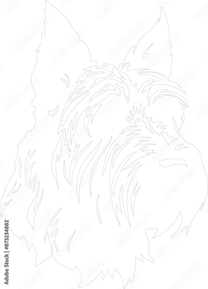 Bouvier des Flandres outline Bouvier des Flandres outline
