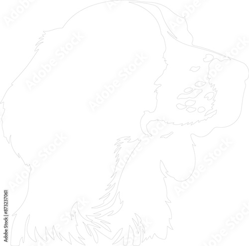 Brittany Spaniel outline