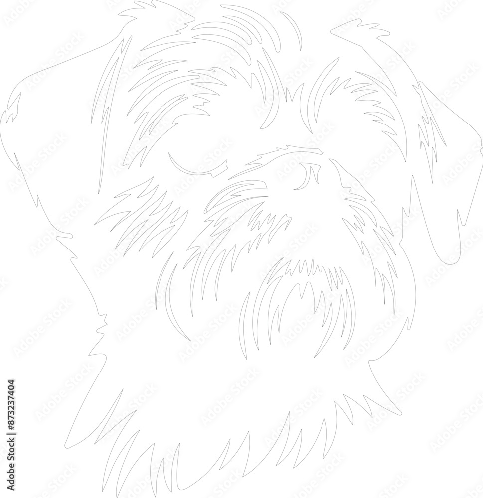Obraz premium Brussels Griffon outline