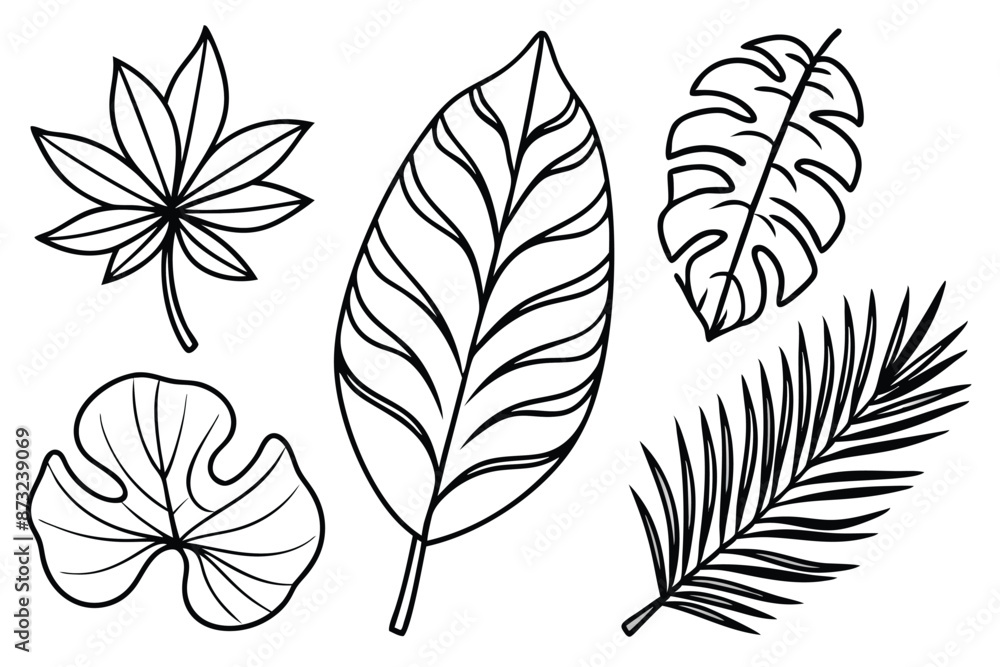 Tropical Leaves Line Art Exotic Botanical Sketch Tropical Leaves Line Art Exotic Botanical Sketch
